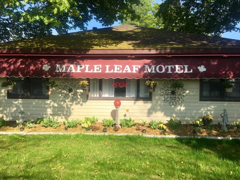 Maple Leaf Motel - Vintage Postcard (newer photo)